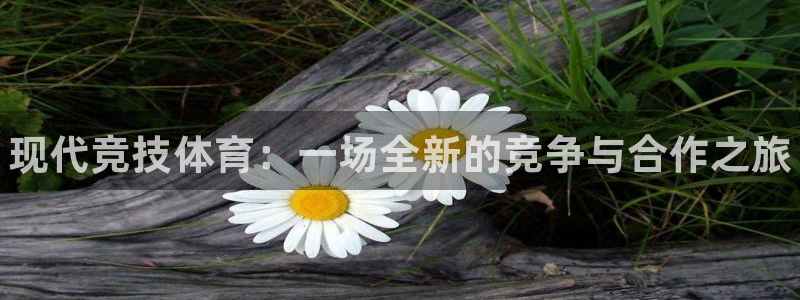 J9官方正版app集团简介：现代竞技体育：一场全新的
