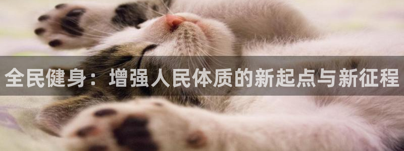 J9官方正版app代理