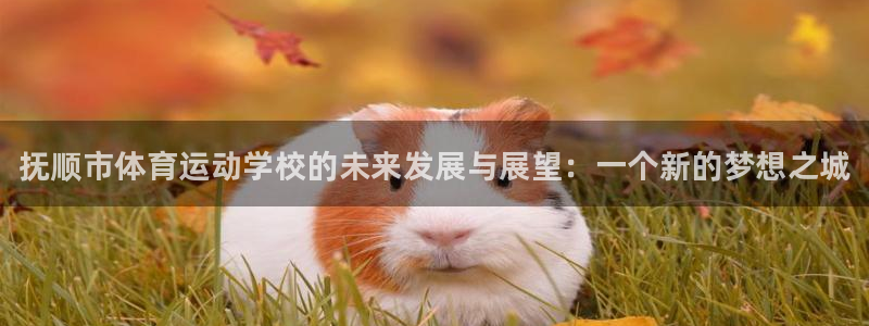 J9官方正版app开户
