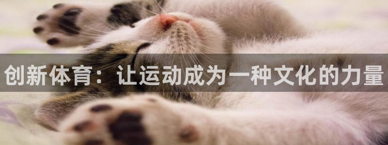 J9官方正版app娱乐下载