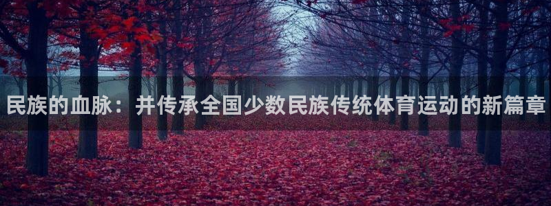 J9官网下载招商电话是多少：民族的血脉：并传承全国少
