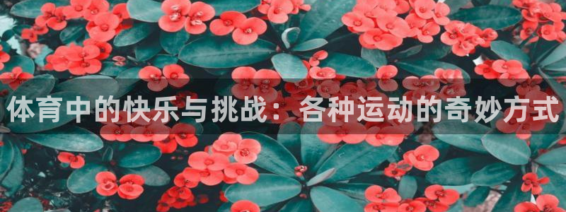 J9官网下载平台是正规平台吗知乎：体育中的快乐与挑战：各种运