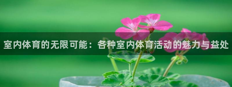 J9官网下载注册：室内体育的无限可能：各种室内体育活动的魅力