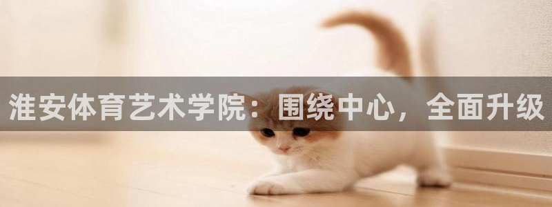 J9官方正版app集团logo：淮安体育艺术学院：围绕中心，